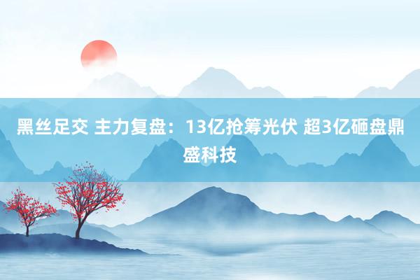 黑丝足交 主力复盘：13亿抢筹光伏 超3亿砸盘鼎盛科技