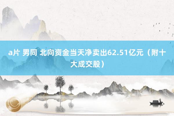 a片 男同 北向资金当天净卖出62.51亿元（附十大成交股）