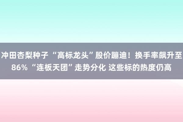冲田杏梨种子 “高标龙头”股价蹦迪！换手率飙升至86% “连板天团”走势分化 这些标的热度仍高