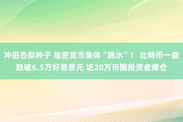 冲田杏梨种子 加密货币集体“跳水”！ 比特币一度跌破6.5万好意思元 近20万币圈投资者爆仓