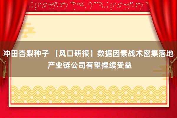 冲田杏梨种子 【风口研报】数据因素战术密集落地 产业链公司有望捏续受益