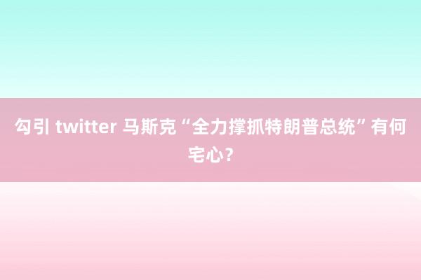 勾引 twitter 马斯克“全力撑抓特朗普总统”有何宅心？