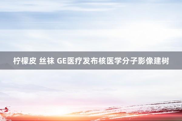 柠檬皮 丝袜 GE医疗发布核医学分子影像建树