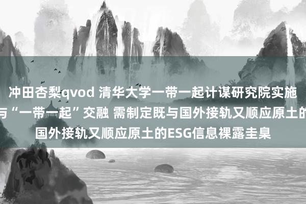冲田杏梨qvod 清华大学一带一起计谋研究院实施院长史志钦：ESG与“一带一起”交融 需制定既与国外接轨又顺应原土的ESG信息裸露圭臬