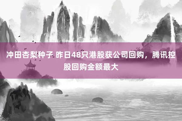 冲田杏梨种子 昨日48只港股获公司回购，腾讯控股回购金额最大