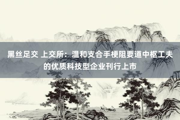黑丝足交 上交所：温和支合手梗阻要道中枢工夫的优质科技型企业刊行上市