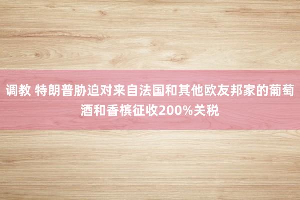 调教 特朗普胁迫对来自法国和其他欧友邦家的葡萄酒和香槟征收200%关税