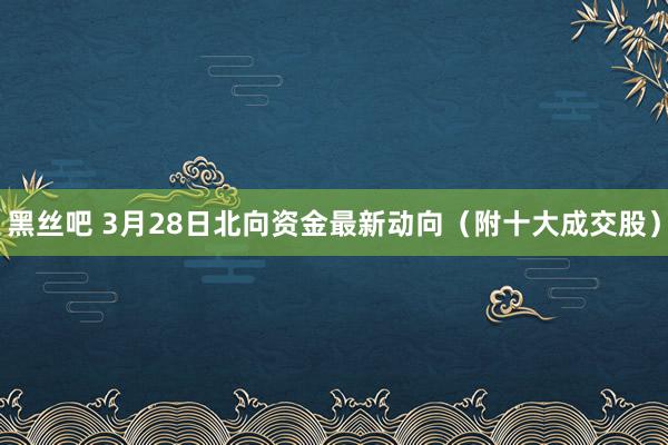 黑丝吧 3月28日北向资金最新动向（附十大成交股）